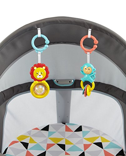 Fisher-Price Portable Bassinet and Play Space On-the-Go Baby Dome with Developmental Toys and Canopy, Windmill