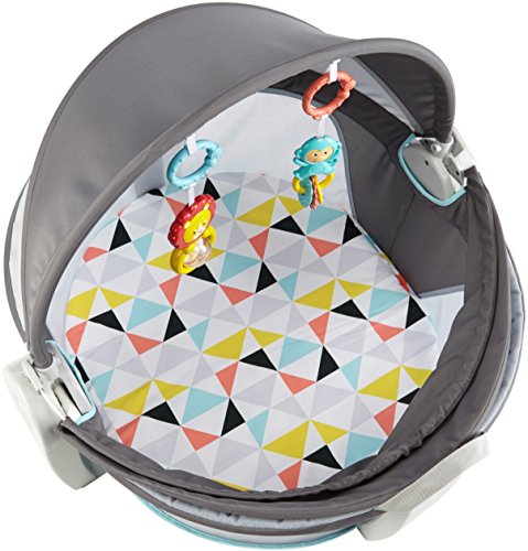 Fisher-Price Portable Bassinet and Play Space On-the-Go Baby Dome with Developmental Toys and Canopy, Windmill