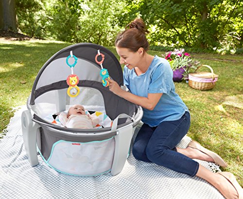 Fisher-Price Portable Bassinet and Play Space On-the-Go Baby Dome with Developmental Toys and Canopy, Windmill